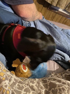 Guest review image 3 of 4, zoom in