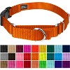 Country Brook Petz Heavy Duty Nylon Martingale Dog Collar with Deluxe Buckle - 30+ Vibrant Color Options - 2 of 4