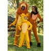 HalloweenCostumes.com Child Disney The Lion King Simba Costume | Disney Costumes - 3 of 4