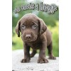 Trends International Keith Kimberlin - Puppy - Who Needs a Hug? Unframed Wall Poster Prints - 4 of 4