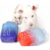 ZippyPaws Dog Toys - Funny Cute Plush Dog Toys with Squeaker - Parody Dog Toy - Puppy Toys - Dog Birthday - Bark Toys - 2 of 4