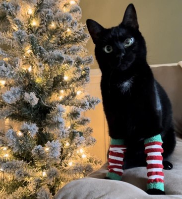 Cat Leggings -  Canada