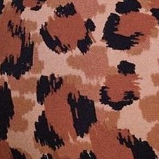 haute spot c03