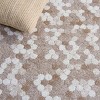 Northport NTP808 Indoor Rugs - Safavieh - 4 of 4