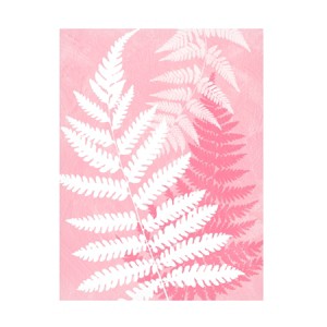 Trademark Fine Art - Tina Lavoie Fern Leaves In Pink Canvas Art - 1 of 4