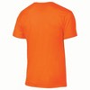 NCAA Auburn Tigers Men's Heather T-Shirt - 2 of 3