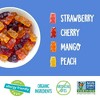 YumEarth Gluten Free Gummy Bears, Strawberry, Cherry, Mango, Peach, 10 Snack Packs, 0.7 oz - 3 of 4