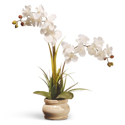 Artificial Potted Orchid Flower White 24" - National Tree Company