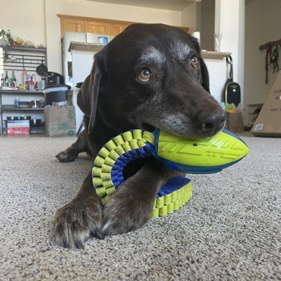 Dark Green CSU Rams Head Rope Dog Toy