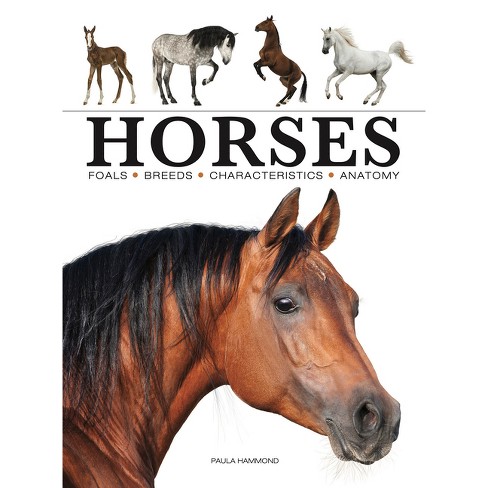 Horses - (Mini Encyclopedia) by  Paula Hammond (Paperback) - image 1 of 1