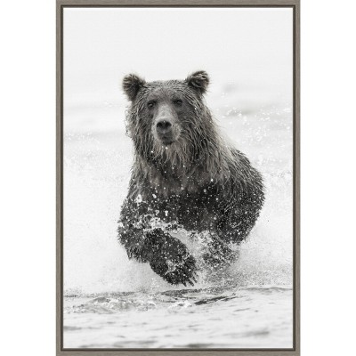 16" x 23" Bear Fishing for Salmon by Adam Jones Danita Delimont Framed Canvas Wall Art Brown - Amanti Art