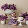 2Bunnies Lace Pom Pom Trim Baby Girl Dress - 3 of 4