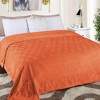 Diamond Flannel Embossed Fleece Blanket by Blue Nile Mills - 2 of 4