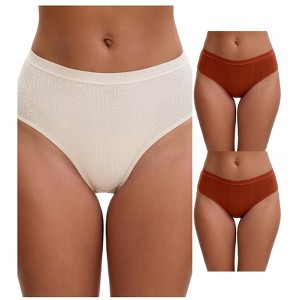 INSPIRE CHIC Women's High Waisted Butt Lifter Briefs Tummy Control Underwear, Available in Plus Size 3 Packs - 1 of 4