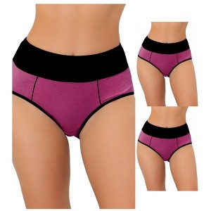 Allegra K Women's High Waist Tummy Control Color-Block Available in Plus Size Briefs 3 Packs - 1 of 4