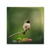 Trademark Fine Art -Jai Johnson 'Hummingbird In The Garden' Canvas Art - 2 of 3