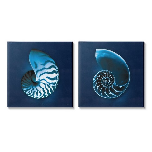 Stupell Industries Blue Spiral Nautilus Shell With Interior Pattern Target