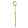 Black Bow Jewelry 14k Yellow Gold, Rope, Latin Cross Pendant - 2 of 4
