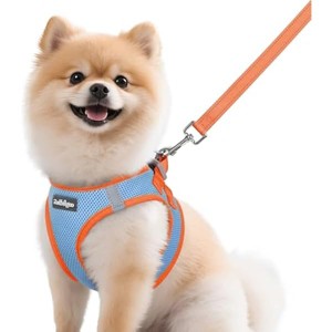 rabbitgoo Dog Harness Small Sized and Leash  Reflective Puppy Vest for Small Dogs, Light Blue & Orange, M - 1 of 1
