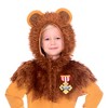 Child Wizard of Oz Lion Costume - 2 of 4