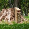 Uncle Dunkels Tree Frog House, Outdoor Tree Frog Habitat, Deluxe w/ Poplar Wood Handmade in the USA - 2 of 4