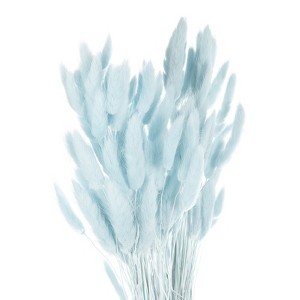 Unique Bargains Decorative Natural Dried Floral Bunny Tail Artificial Plants 120 Pcs - 1 of 4