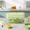 LunaLulinlk Freezer Ice Tray with Lid, Makes 64 Ice Cubes, Includes 2 Ice Trays, Ice Box, Ice Scoop and Lid, BPA Free, Green - 3 of 4