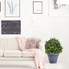poetree 2ft Artificial Boxwood Ball Topiary in Black Pot – Indoor/Outdoor Faux Plant - 3 of 4