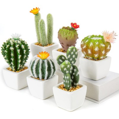 6-Piece Mini Fake Cactus Decor - Ceramic Potted Simulated Succulents, Small Artificial Plants for Home/Desk