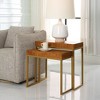 Uttermost Burl-esque Wooden Nesting Tables, Set of 2 - 2 of 4