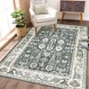 COZONY  Washable Area Rug, Non-Slip Low Pile Vintage Floral Carpet, Indoor Foldable Floor Mat for Living Room and Nursery - 3 of 4