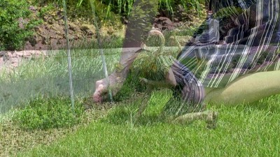 Golden and Blue Iron Crane Garden Statue Set, 40-inch