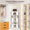 Skyzoo 360° Rotating Shoe Rack - 5 Tier Hexagon Spinning Shoe Organizer for Living Room,Entryway & Closet, - 4 of 4