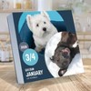 TF Publishing 8.75"x5.5" 2026 Dog A Day Daily Desktop Calendar - 2 of 4