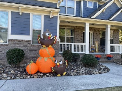 Guest review image 1 of 1, zoom in