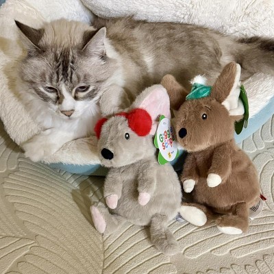 Guest review image 1 of 1, zoom in