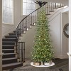 Puleo 9' Pre-Lit Artificial Cypress Christmas PE Tree with LED Rice Lights - 4 of 4