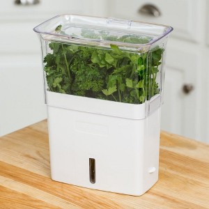 Cole & Mason Fresh Herb Keeper Container - 1 of 4