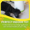 Interactive Fetch-N-Treat Dog Toy - 3 of 4