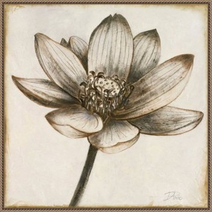 30"x30" Sepia Lotus Blossom II by Patricia Pinto Framed Canvas Wall Art Print Bronze - Amanti Art: Hand-Stretched, Modern Decor - 1 of 4