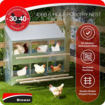 Galvanized Steel 6-Hole Poultry Nesting Box with Hinged Perches