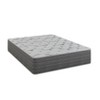 13.5" The Misty Moon Plush Twin Mattress - Dual-Sided Softness - image 4 of 4