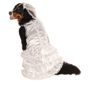 Rubie's Bride Big Dog Pet Costume - 1 of 1