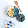 EVIVE SMOOTHIE CUBES: Cube Yogi Plant Based Smthie, 10.58 oz (Case of 3)