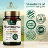 GLP-1 Akkermansia Probiotic Supplement for Women & Men, Akkermansia Muciniphila GLP 1 Probiotics with Prebiotic -120 Capsules - 3 of 4