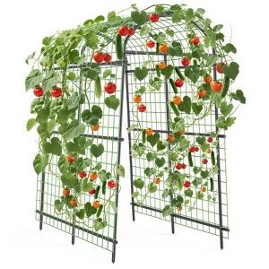 Orieon 7.5Ft Metal Garden Arch Trellis with 7 Pipes – Adjustable Pergola for Climbing Plants & Outdoor Decor. - 1 of 4