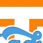tennessee volunteers