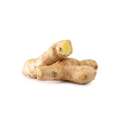 rhizome of ginger