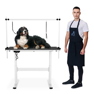 COZONY Electric Pet Grooming Table Heavy Duty Professional with Adjustable Overhead Arm and Non Slip Surface for Dogs Cats - 1 of 4