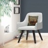 Decorative Throw Pillow_6 by Trademark Fine Art - 3 of 4